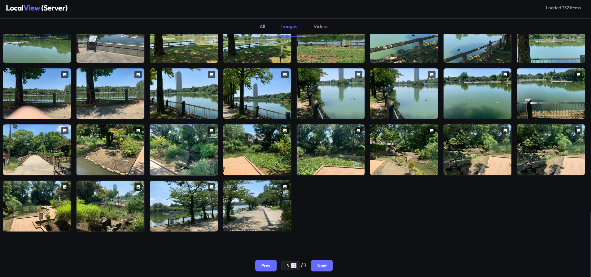Local Media Viewerの利用画面
